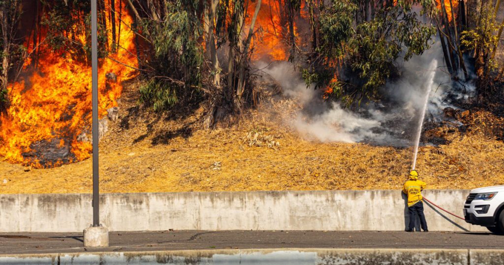 Two Homes Damaged In California's Oakland Hills Fire, Evacuations Begin