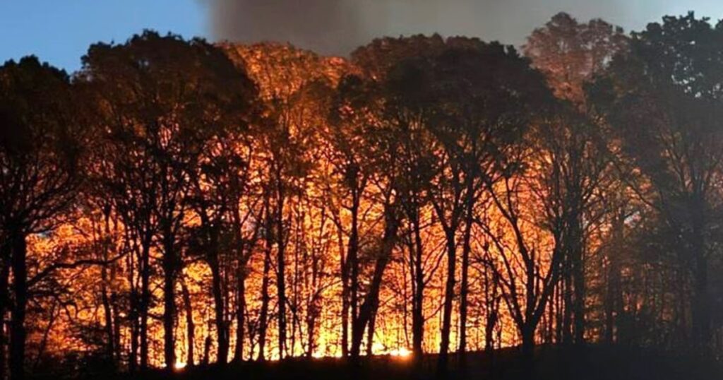 27 Million People Remain Under Fire Warning As Bushfires Rage