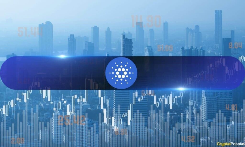 Cardano Foundation Releases 2023 Financial Report, Reveals Spending Across Three