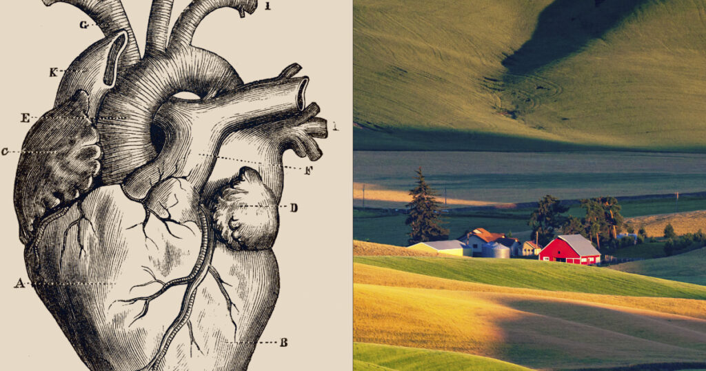 Deaths From Heart Disease Soar In Rural America As More