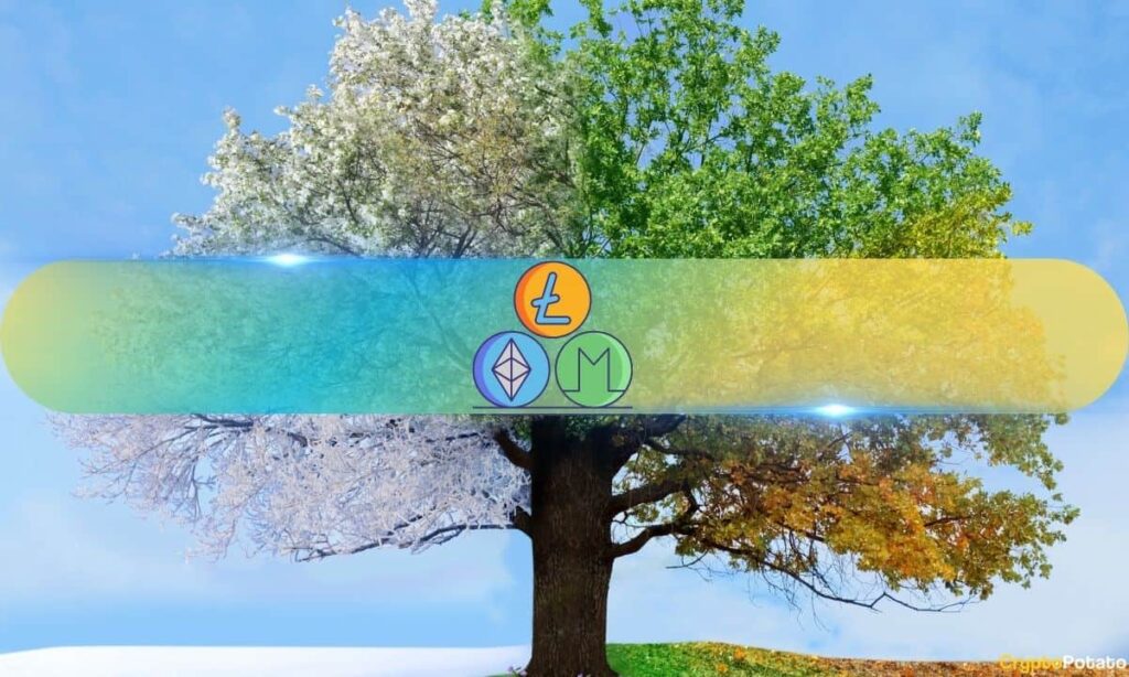 Is The Altcoin Season Off The Table From This Bullshicle?