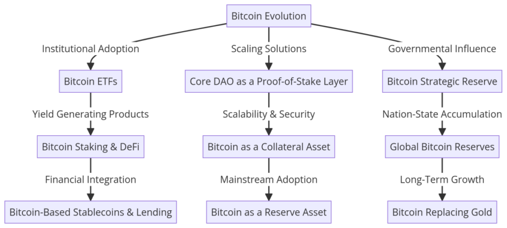 The Future Of Bitcoin: Scaling, Institutional Adoption, And Strategic Preparation