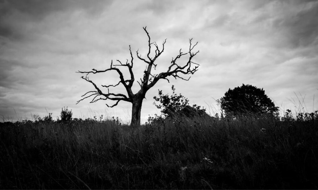 The Cipher Overload Turns Into A Cemetery As A 1.8m