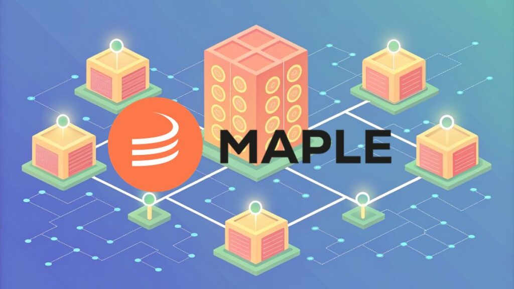 Maple Finance Review: When Blockchain Meets Real World Borrowing Needs