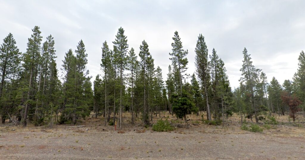 Smartwatch Leads Search And Rescue Teams To The Location Of