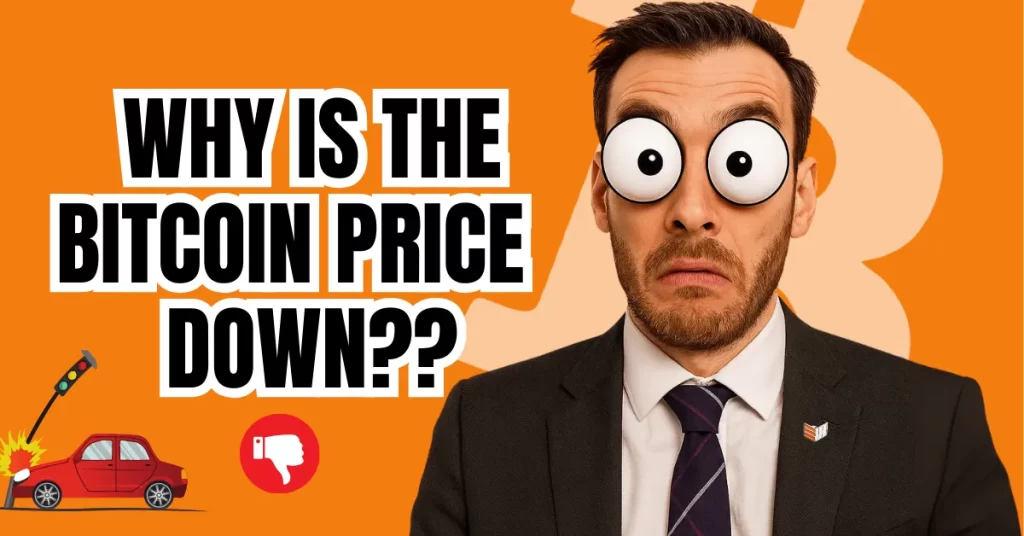 Bitcoin Prices Drop And As Usual, No One Knows