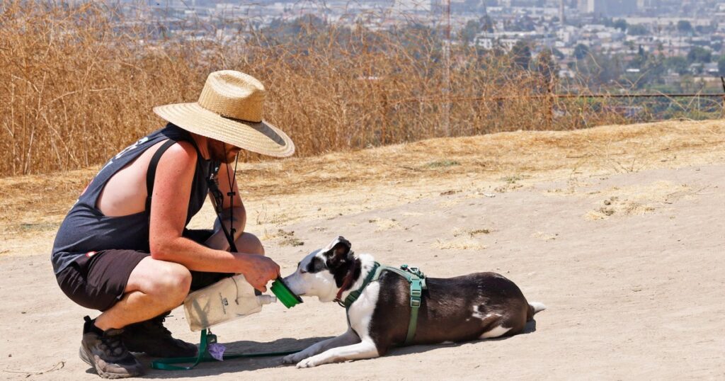 For Southwest Looms, Extreme Heat Waves With Temperatures Above 110