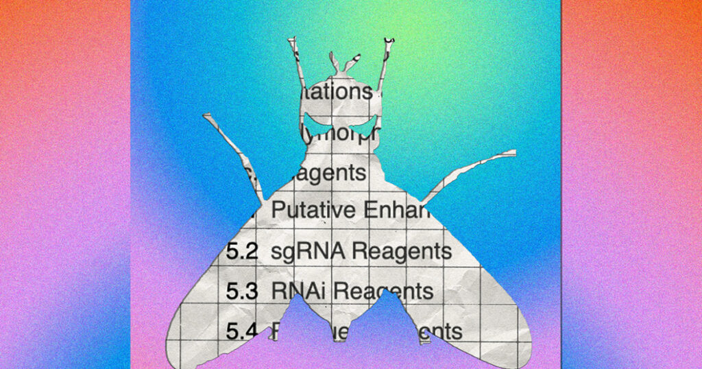 Database on small fruit fries