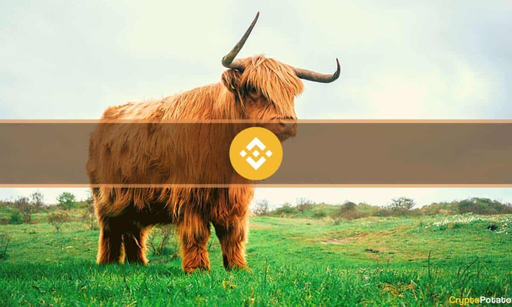 Binance coin (bnb) flips ripple (xrp) following record breaking price surge