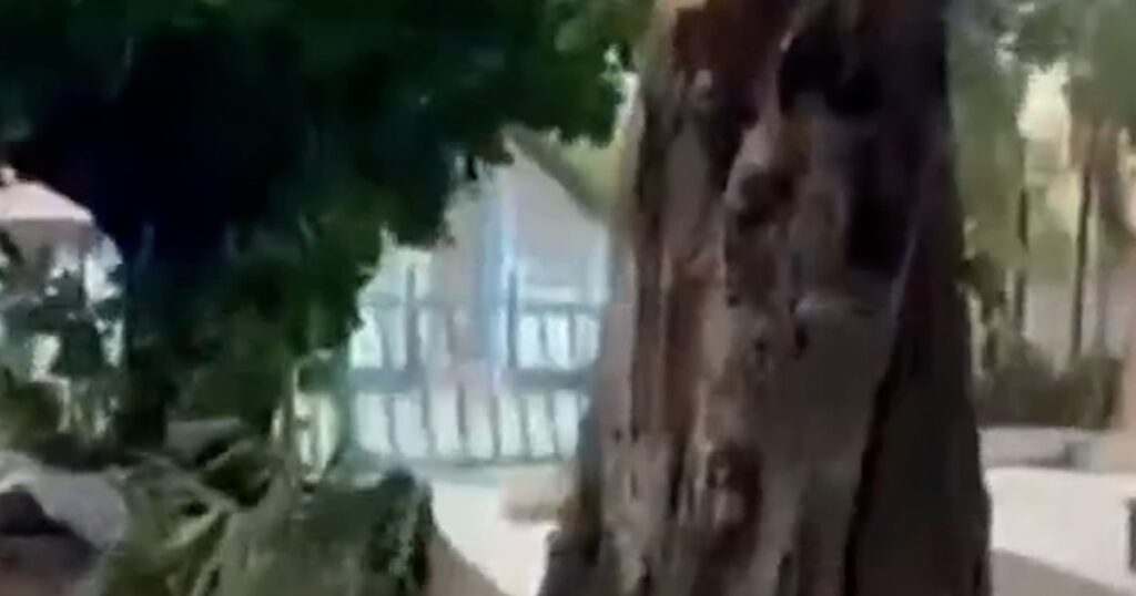 Melissa causes trouble for jamaica before landing