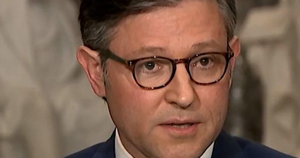 House speaker johnson calls government shutdown 'senseless and stupid'