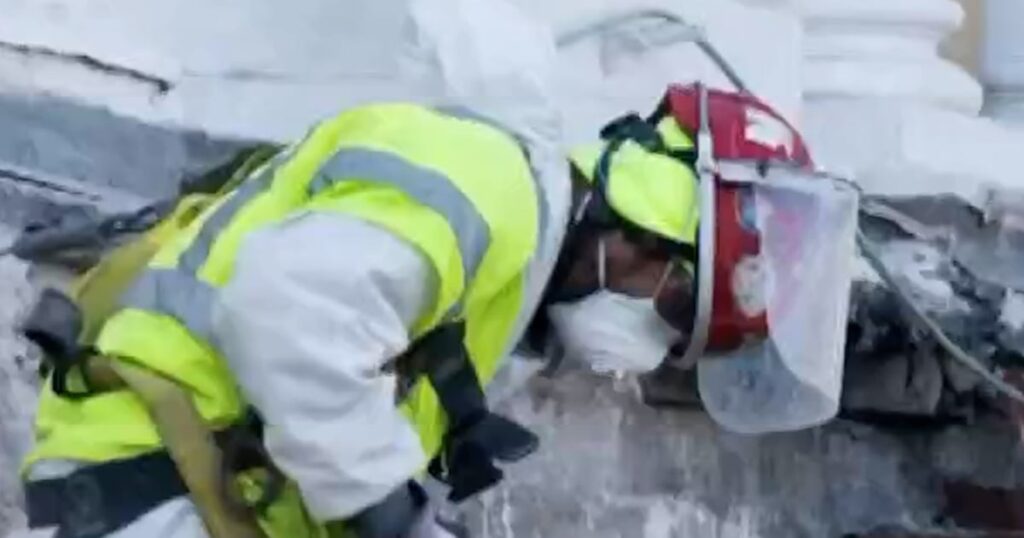 President trump hires new white house social space architect