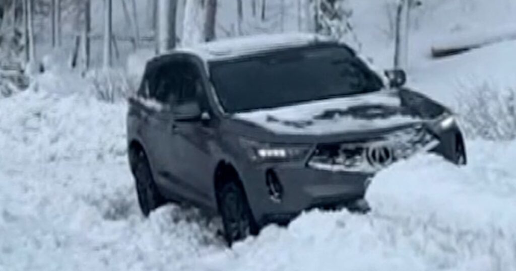 Winter storm brings travel disruption to east coast