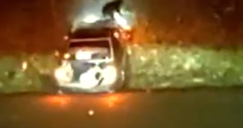 Dog breaks through car windshield after police chase