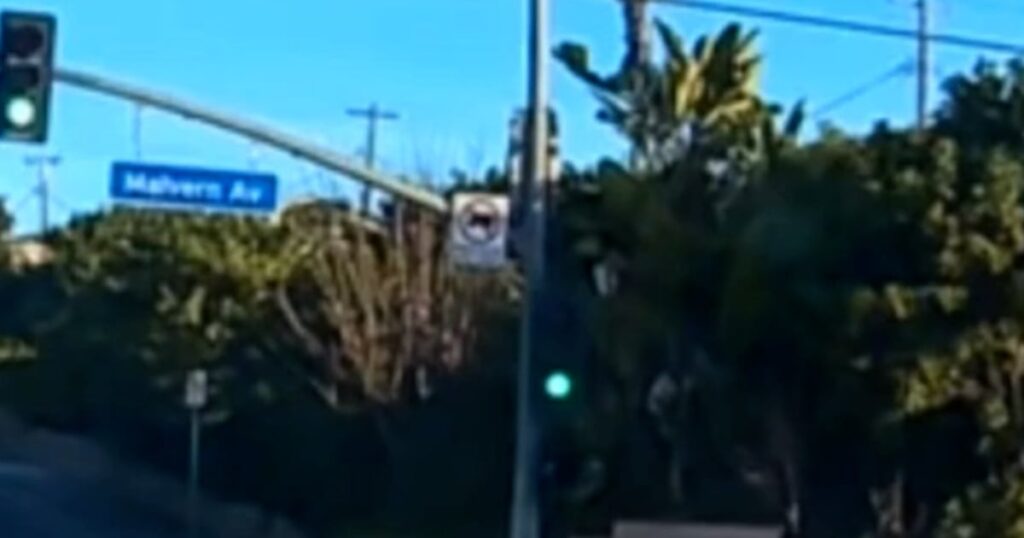 Mother arrested after california child falls from moving car