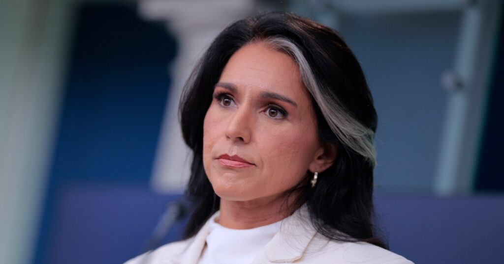 Tulsi gabbard defends herself during fbi investigation into georgia election