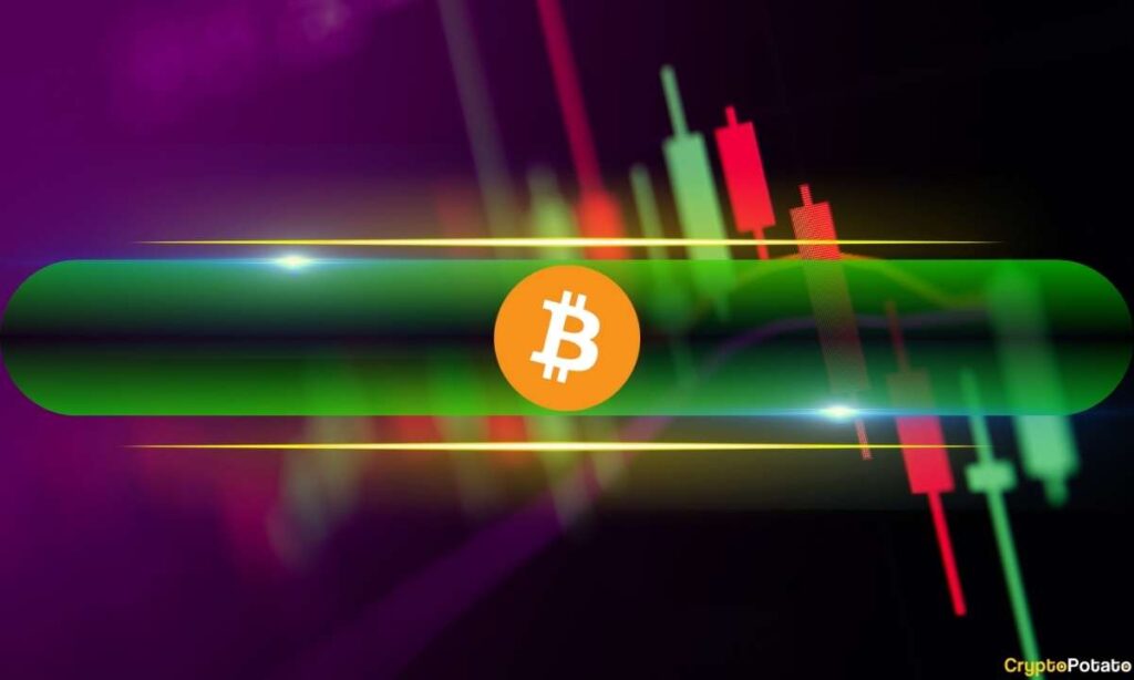Bitcoin (btc) hits 11 week high, popular altcoin soars 22%: market