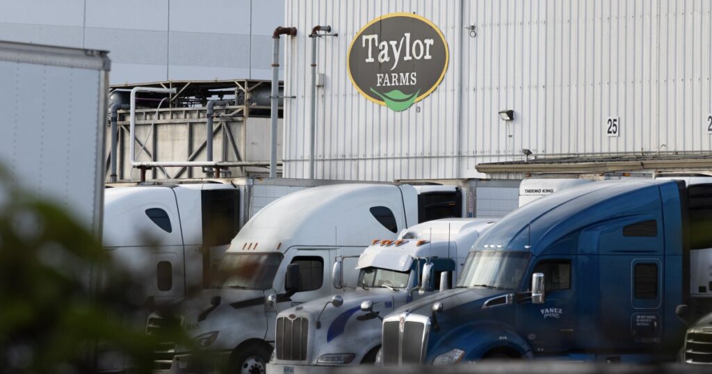 FDA says Taylor Farms’ lettuce samples tested for Cyclospora produced false positives for the parasite Fda says taylor farms' lettuce samples tested for cyclospora produced
