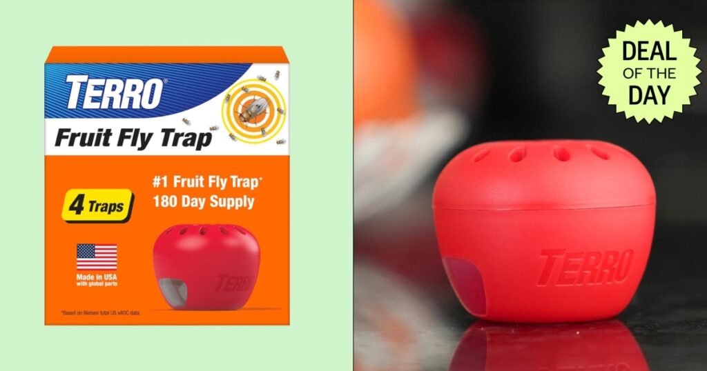 Terror fruit fly trap is currently 31% off on amazon