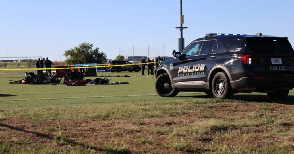 Boy and man killed, 10 injured after woman drives through