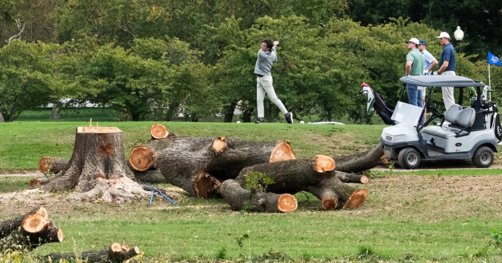 Judge further extends block on Trump officials removing trees at